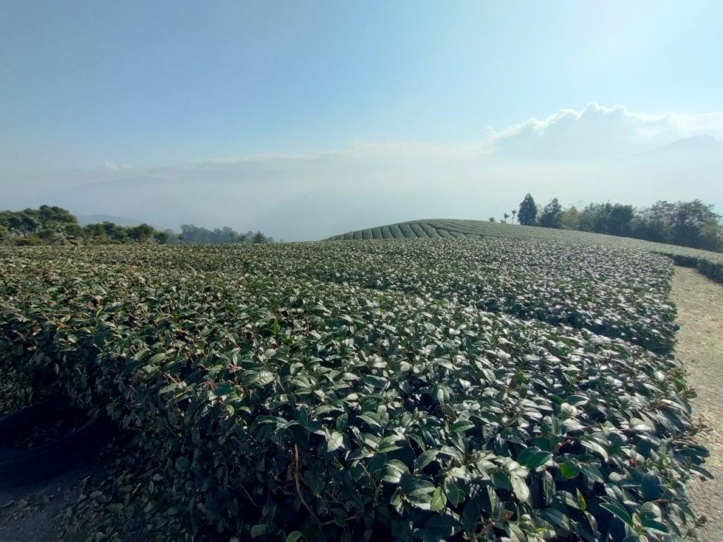 太平老街，大籠頂山，奉天岩，獨立山（嘉義竹崎）_2235592