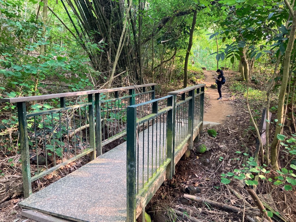 紅毛埤山(蘭潭後山步道)_2653315