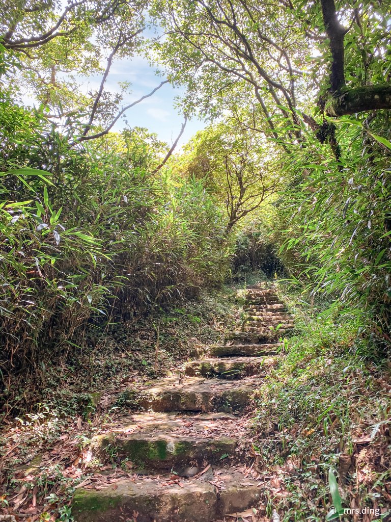 ＜小百岳＞台北市．大屯主峰步道_1029919