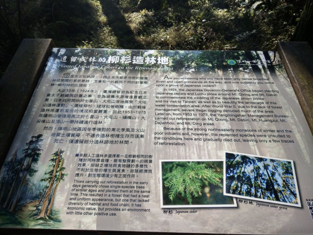 冷水坑-擎天崗環狀步道(竹嵩山)-風櫃嘴_821107