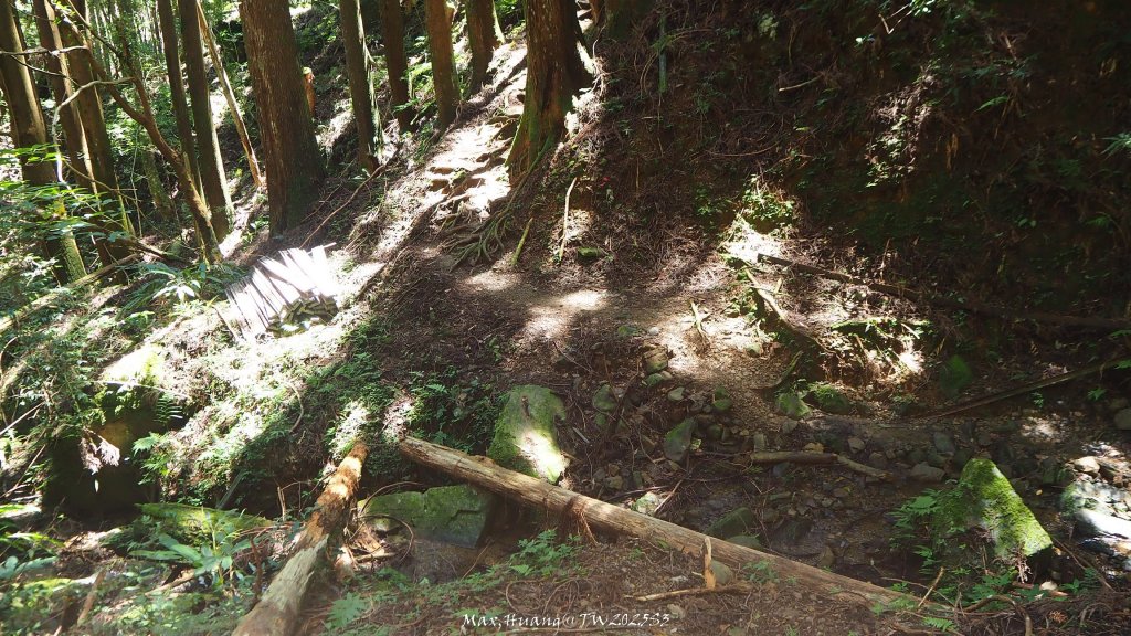 《苗栗》遺世鐵道｜悠遊加里山大坪支線至避難山屋20250822_2867548
