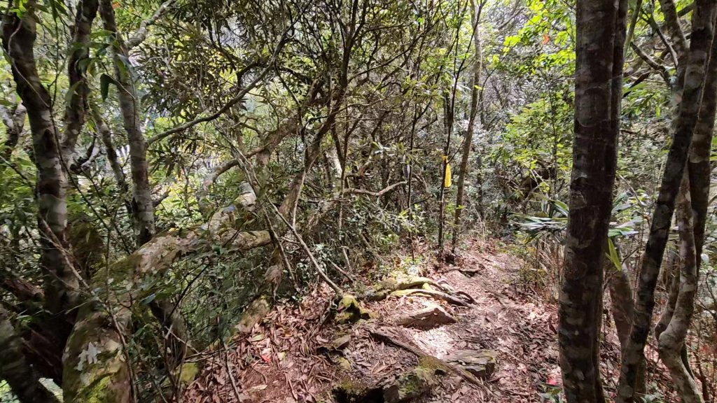 復興三尖之夫婦山_2356709