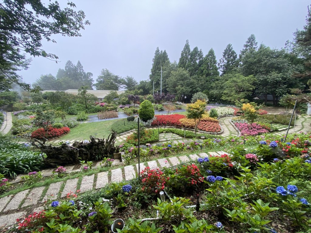 20250705-Ep.01野馬瞰山步道-2025森遊竹縣皮皮獅探險隊封面圖