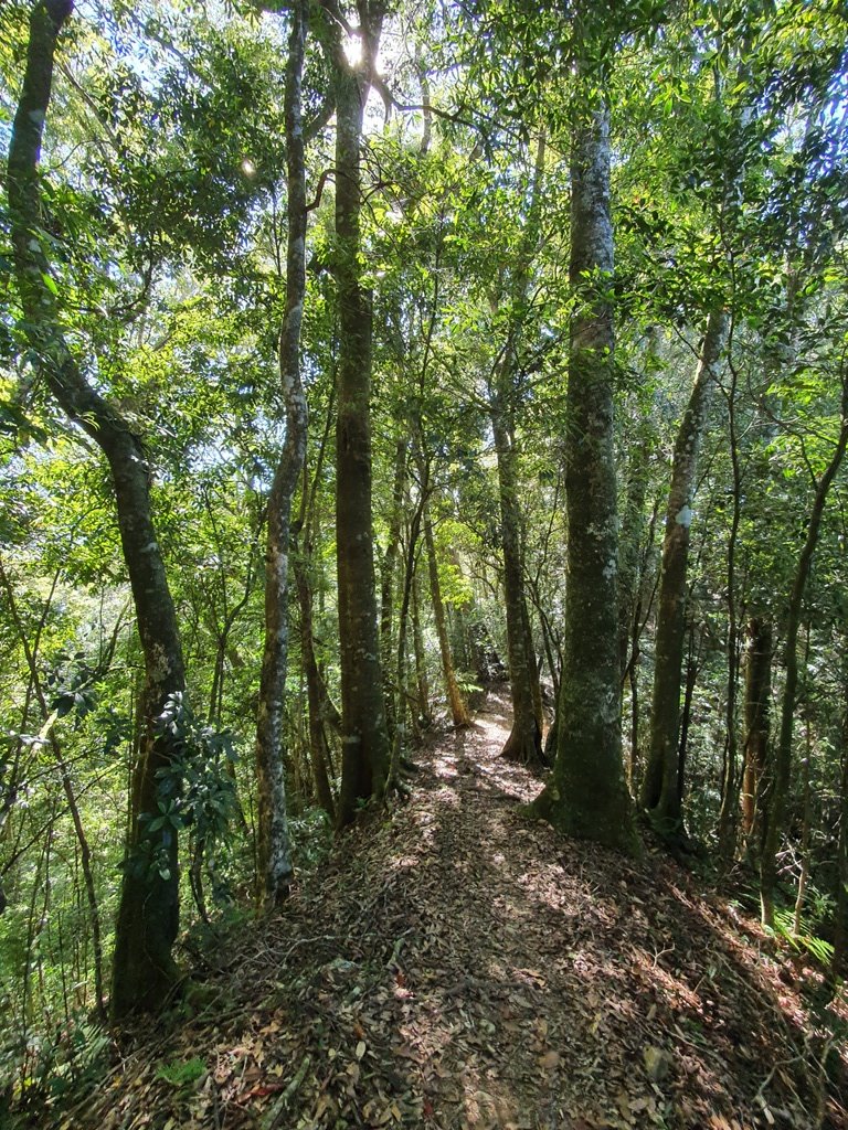 草嶺風情(石壁山,連心池,萬年峽谷)_1487149