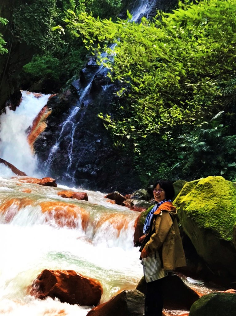 發現陽明山｜天母古道、擎天崗環形步道_1900917