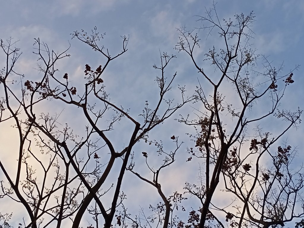 【小百岳集起來】 #007 基隆紅淡山 H210m, 三等三角點 #1024_1634322