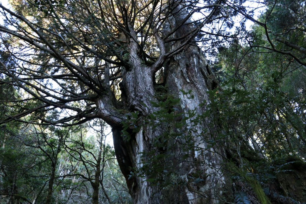 秋芒加羅湖_1509251