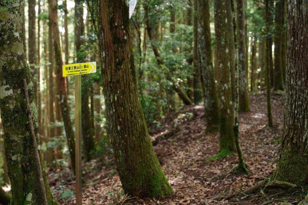 新竹 五峰 油羅山、霞山_2798248