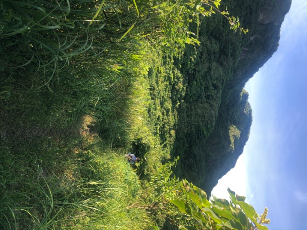 戲水_2555585