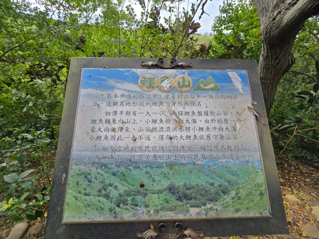 龍井-竹坑-南寮登山古道_2651059