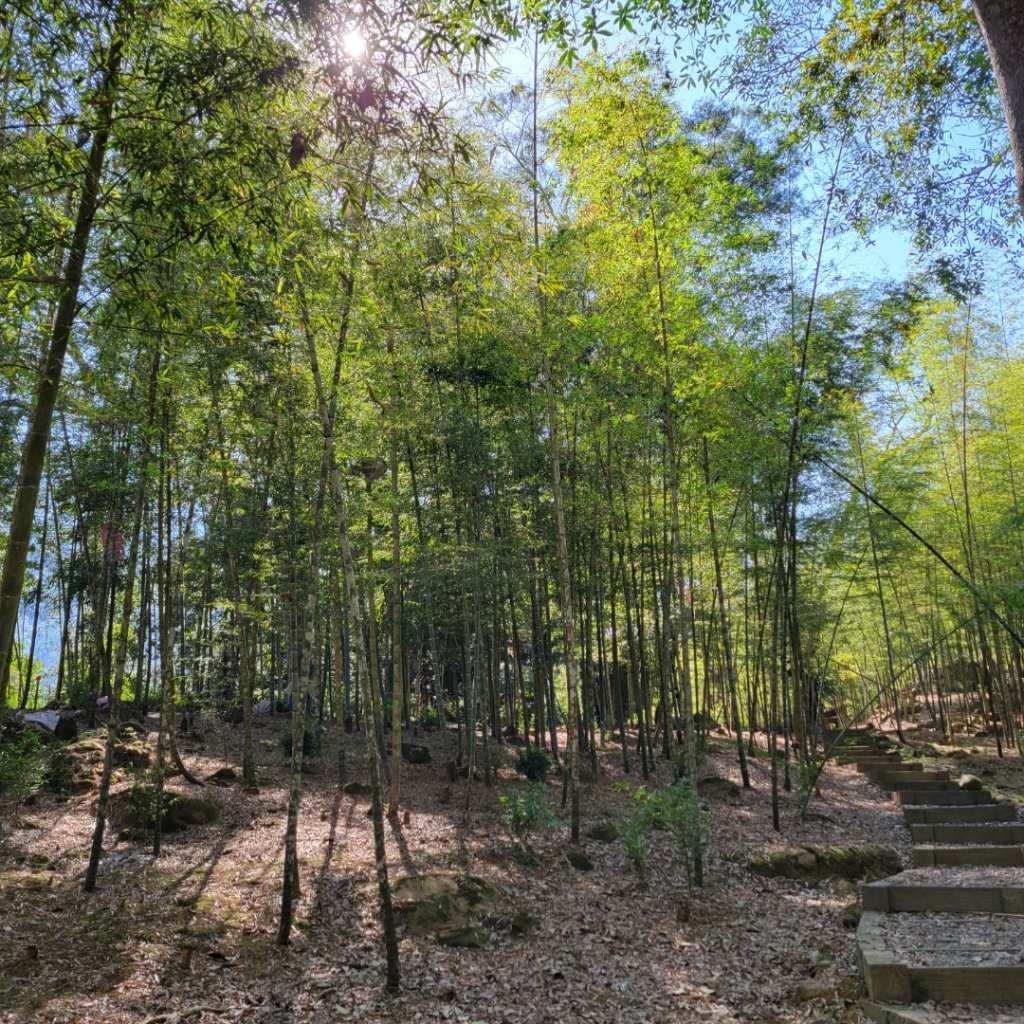 鳳凰谷步道_1965940