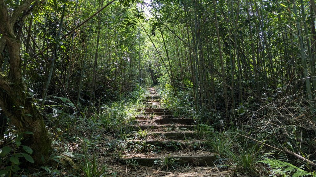 關刀山步道 (出關古道：聖關段)_2532866