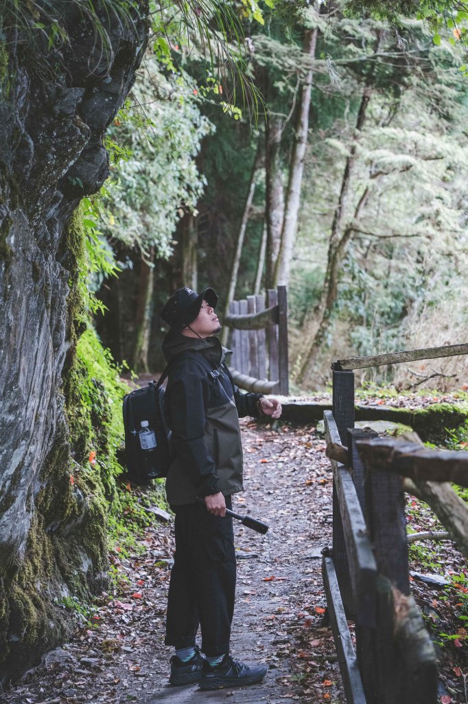 檜山巨木森林步道_1177155