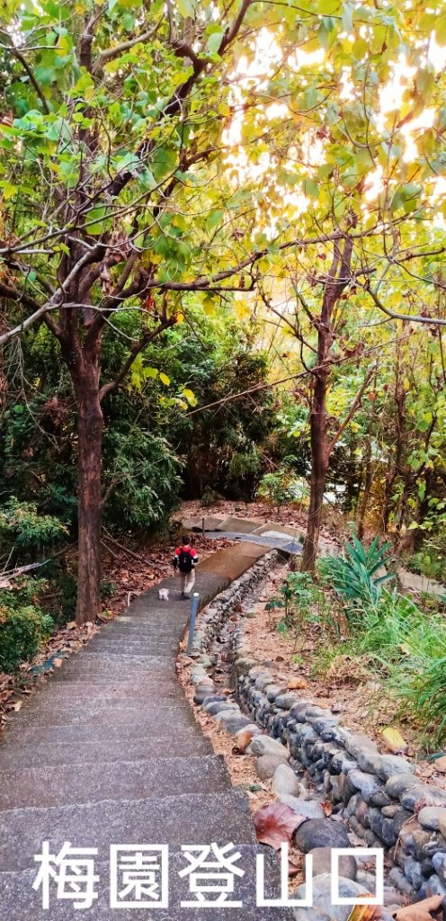 阿罩霧山 台灣小百岳之一，居高臨下欣賞台中之美_1583037