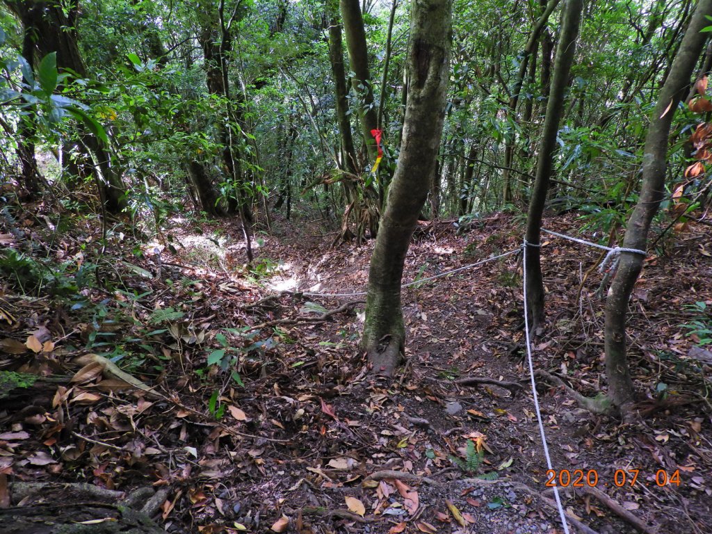 新竹 五峰 大窩山、比林山_1020644