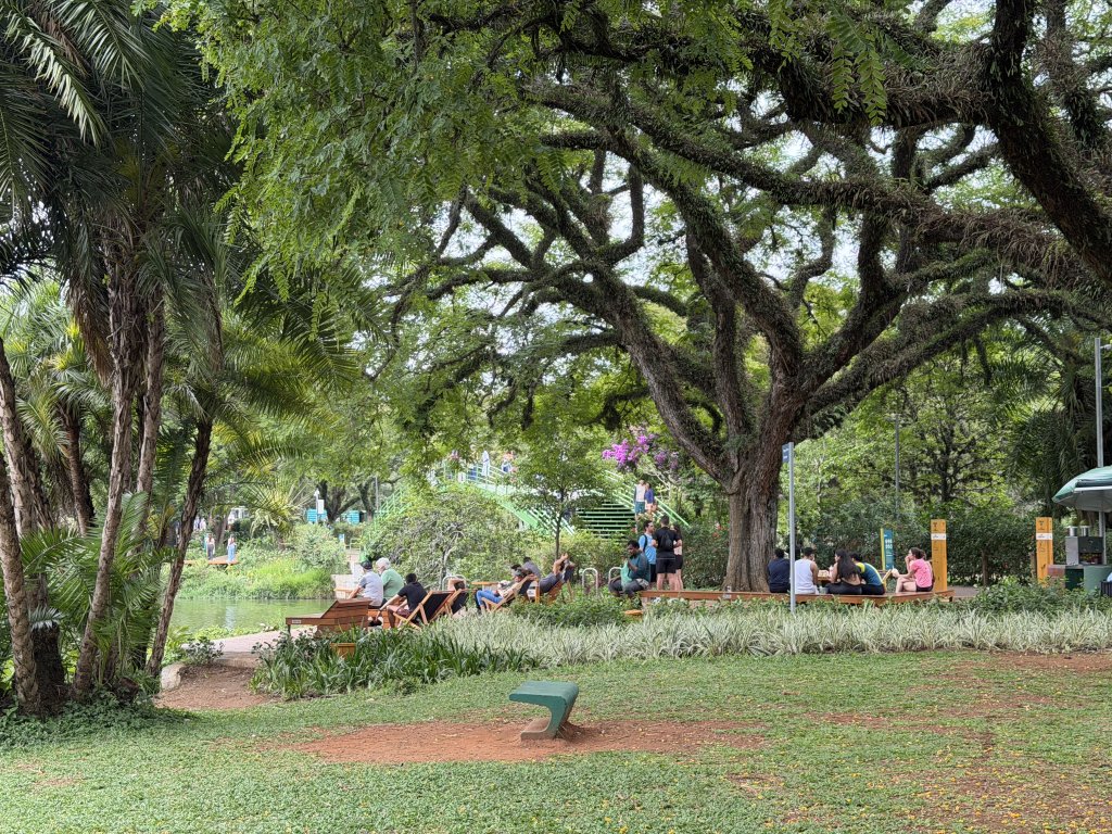 [紐約馬之行-69] 2025_1116 伊比拉布埃拉公園-下_2955179