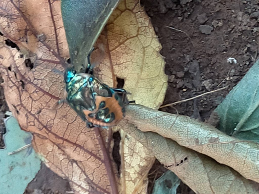 20220722台北大縱走第二段_1776655