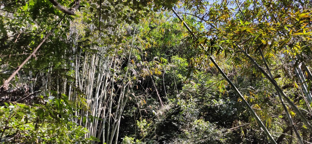 20230218 石牛山_2037203