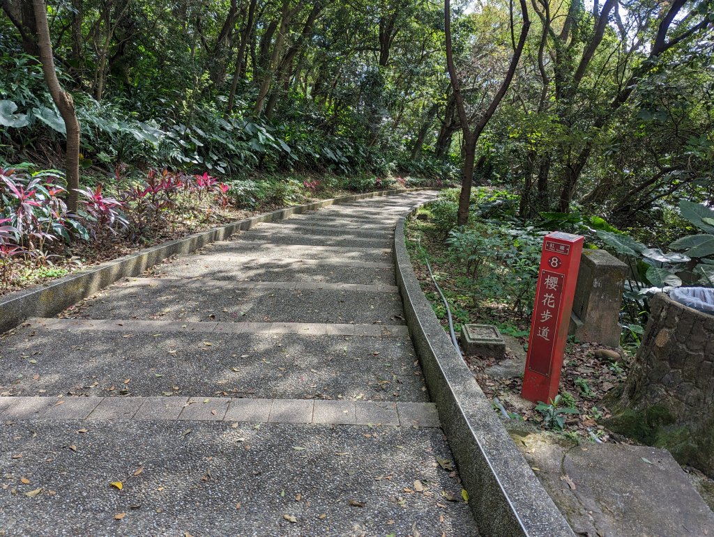 桃園虎頭山七連峰Ｏ型路線_2040549