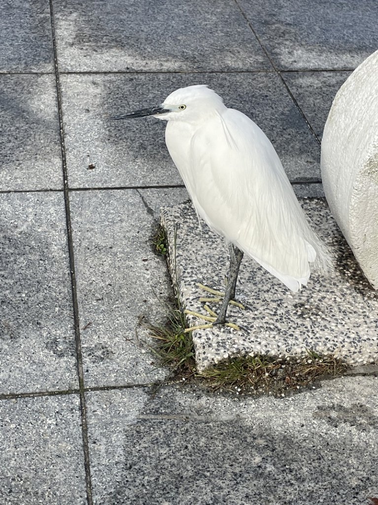 大湖翠湖金龍湖_2711888