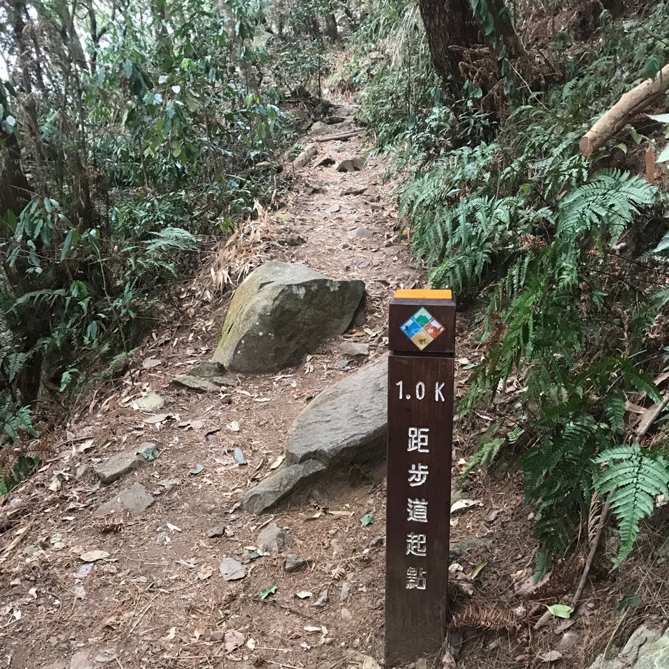 谷關七雄 馬崙山（老二）2023.03.04_2051338