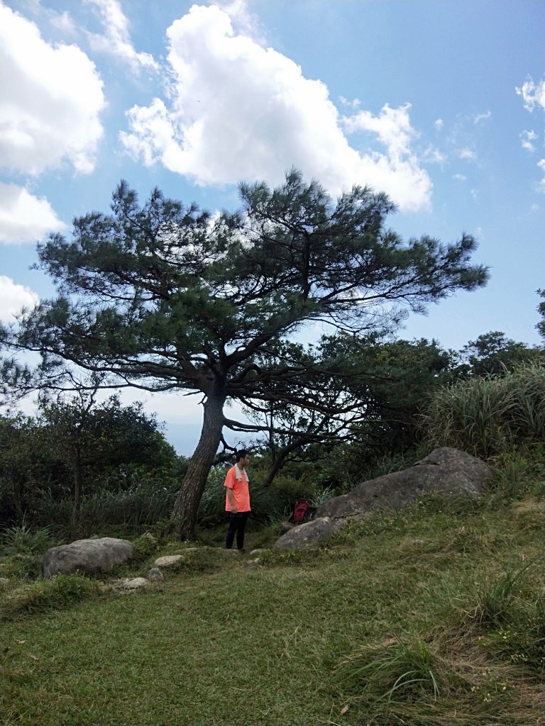 竹篙山南峰，松石草原初體驗_1121018