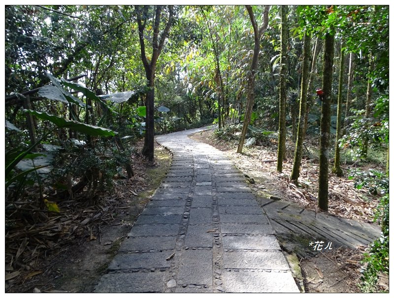日月潭/青龍山步道_754819