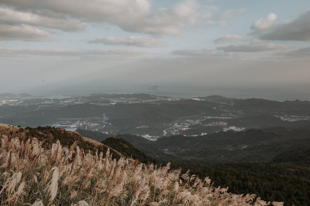 菅芒浪白｜五分山_2356424