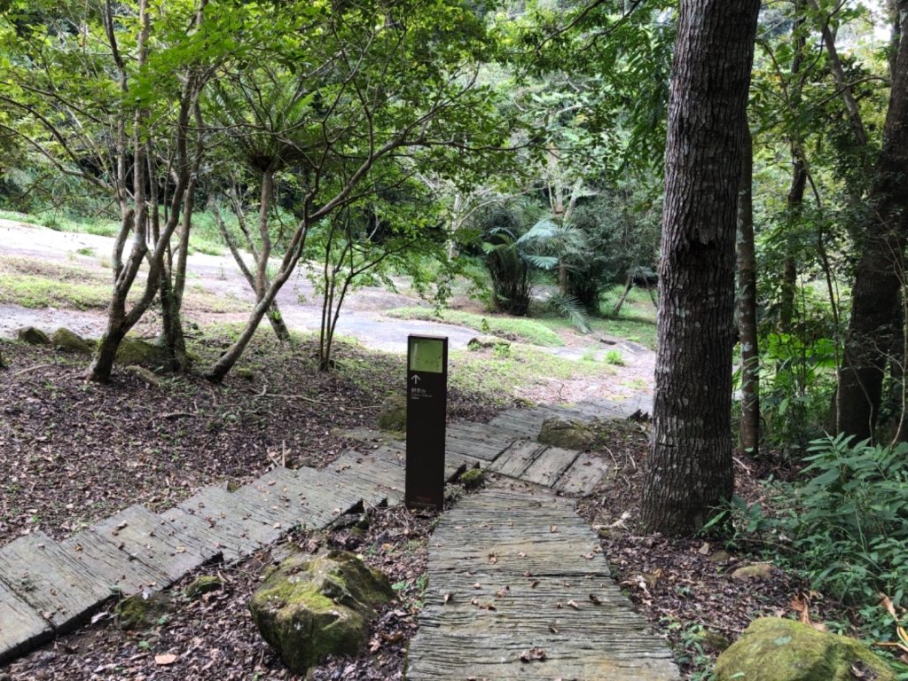 達娜伊谷走里美避難歩道、巨石坂步道_690675