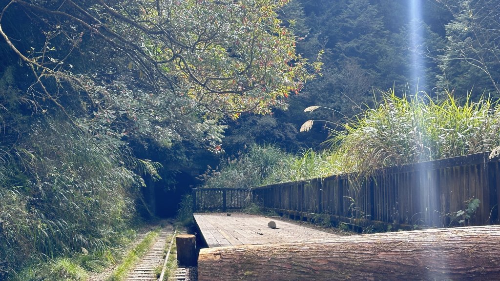 眠月線健行_2993000