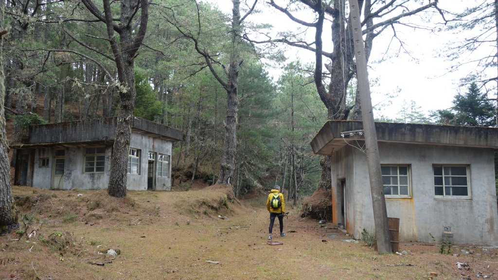 深藏在郡大林道被遺忘的明珠清水山、金子山、郡大山三日_1943863