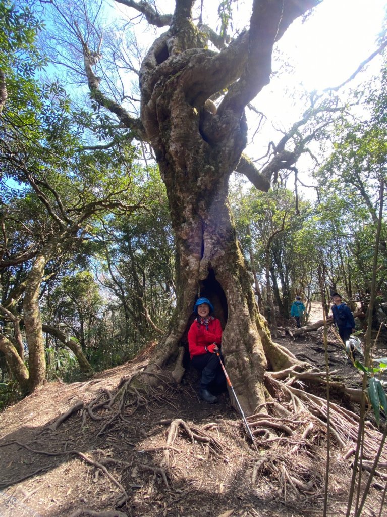雙鳥縱走+那結山_1312813