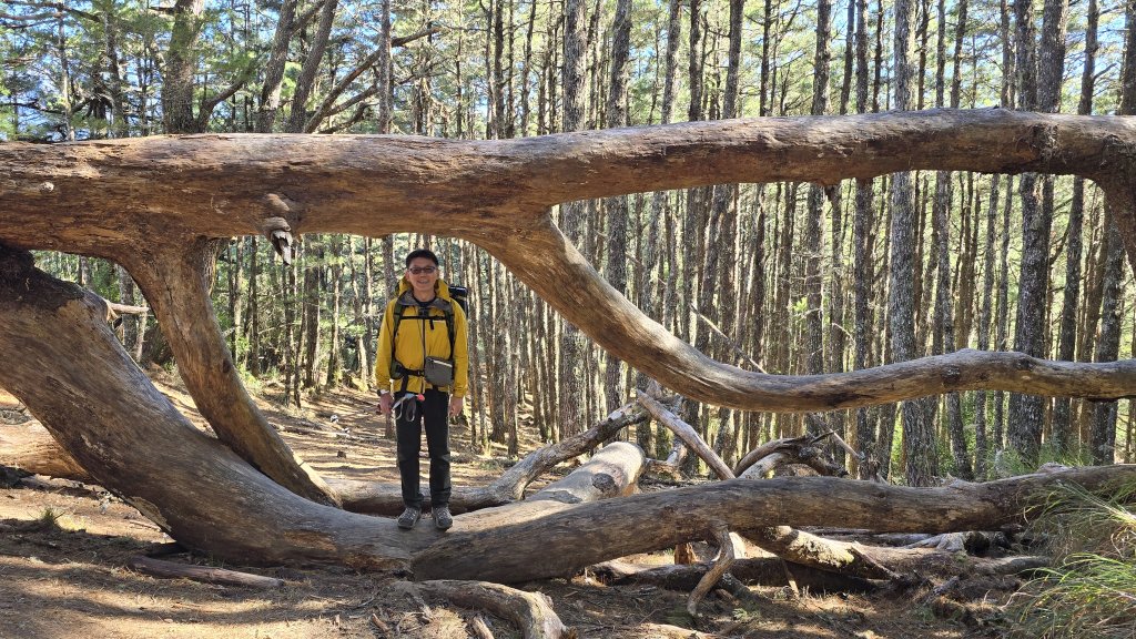 20241229-20250101 南湖群峰_2689370