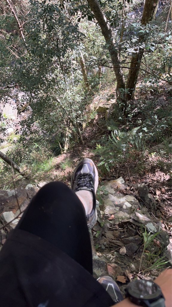 蝶夢八唐搜尋失蹤者 2025.11.25_2954294