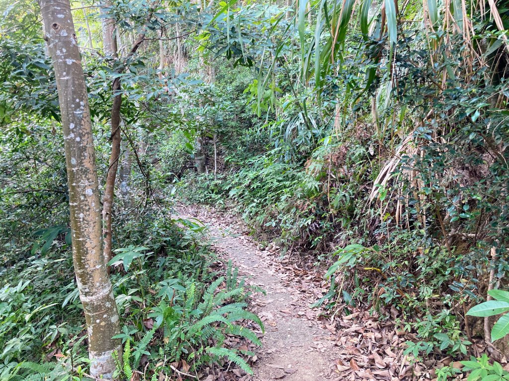 九份二山登山步道_2688033