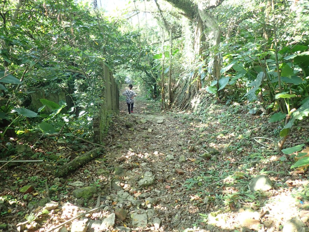 漫遊無耳茶壺山，金瓜石神社與地質公園_638192