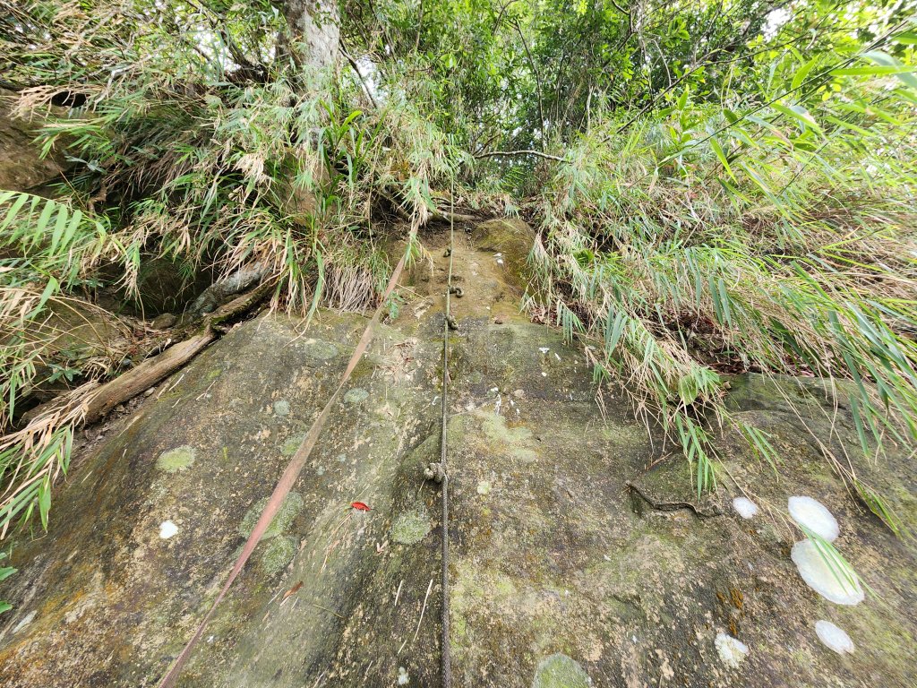 20241222二載山與大橫屏山南峰(追加鹽菜甕山、鹽菜甕下山)_2721505