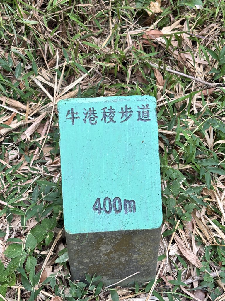 2025-09-06 牛港稜山步道_2883862