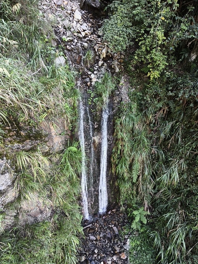 [玉山尋寶任務-07/12] 2025_0824 八通關雲龍瀑布步道_2870703