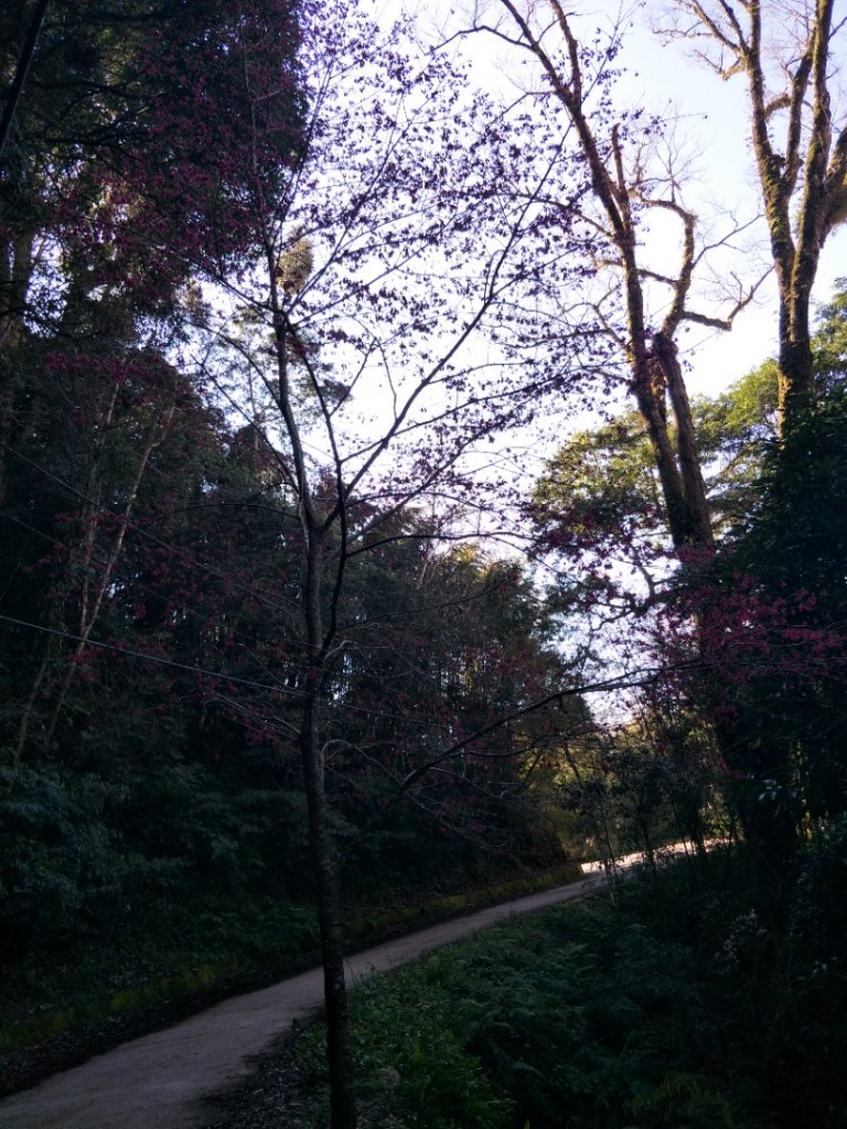 小百岳:李凍山_1619209