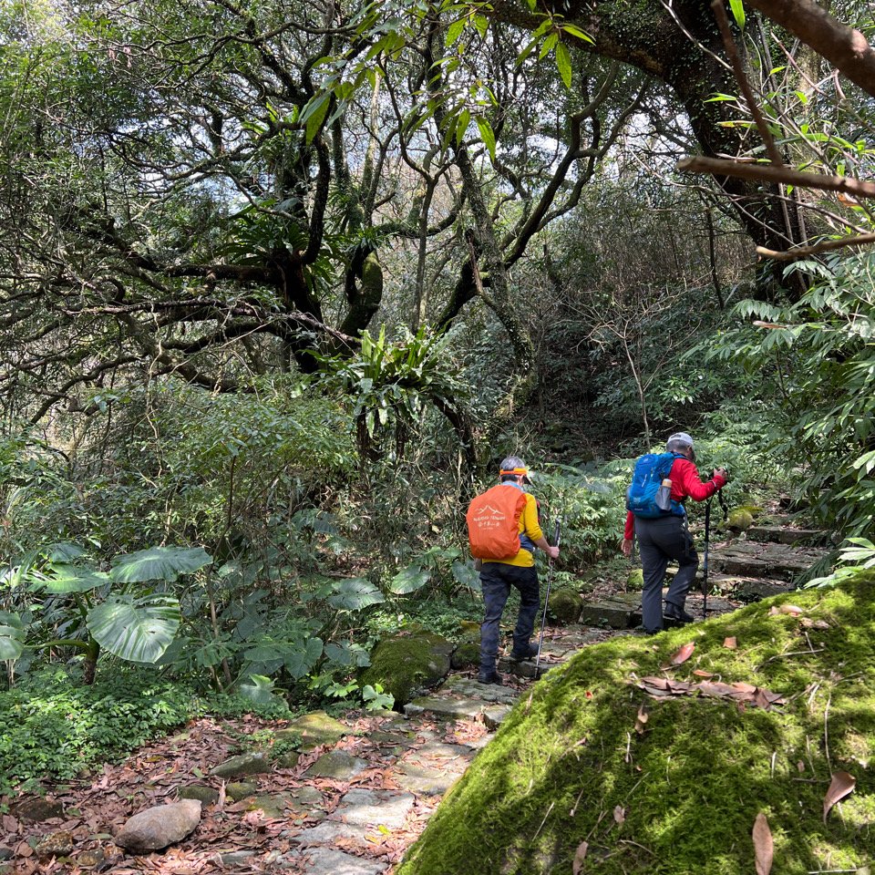 走遍陽明山尋寶任務/環陽明山人車分道陽金、小油坑、冷水坑、中山樓_2071219