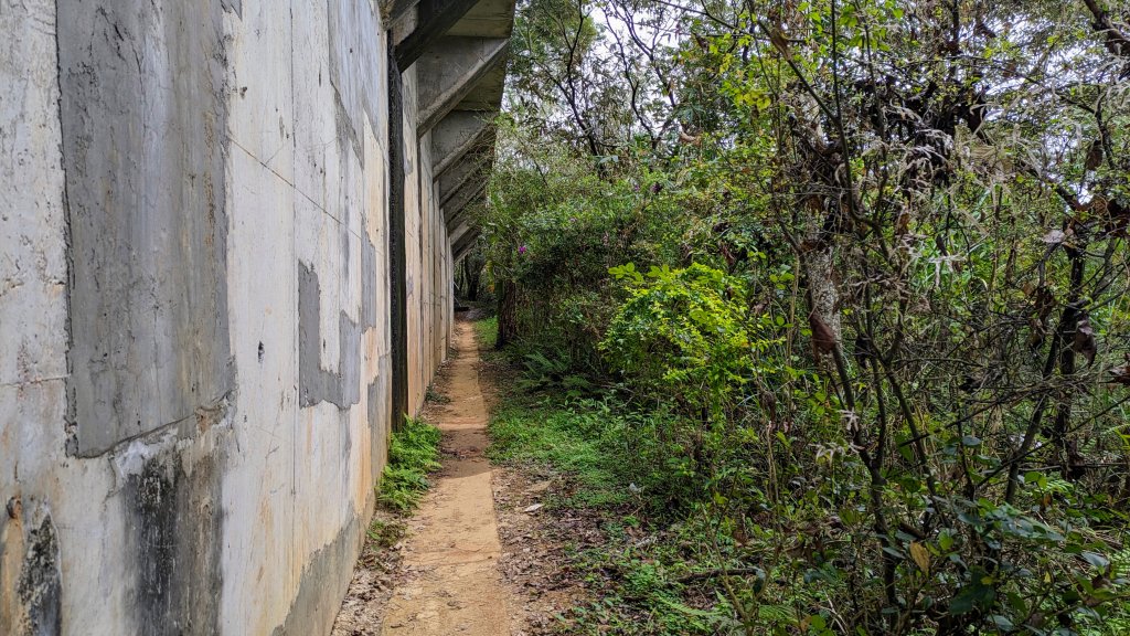 老公崎步道,新林步道_2443928