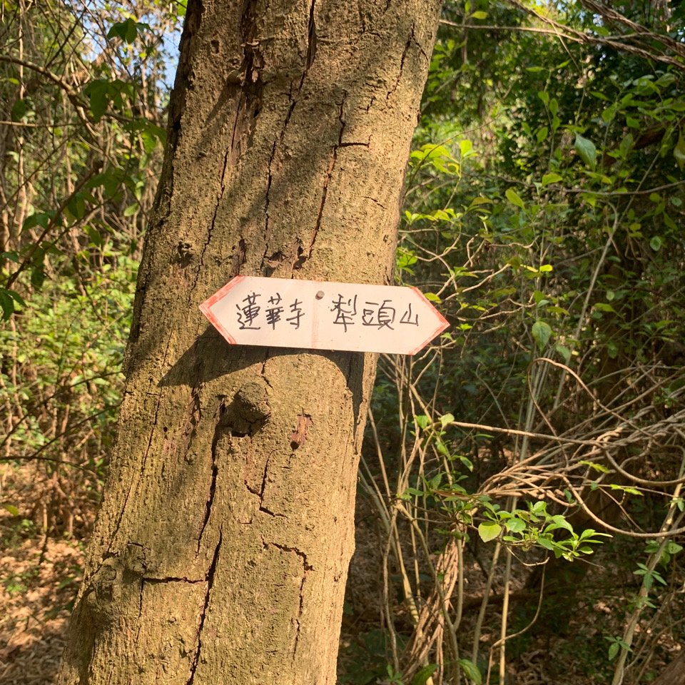 文山步道-犁頭山1100221_1279499