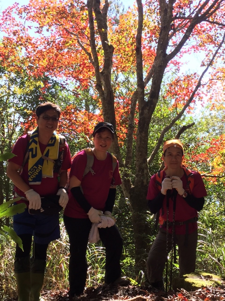20151213尖石鄉屯野台山石麻達山_27933