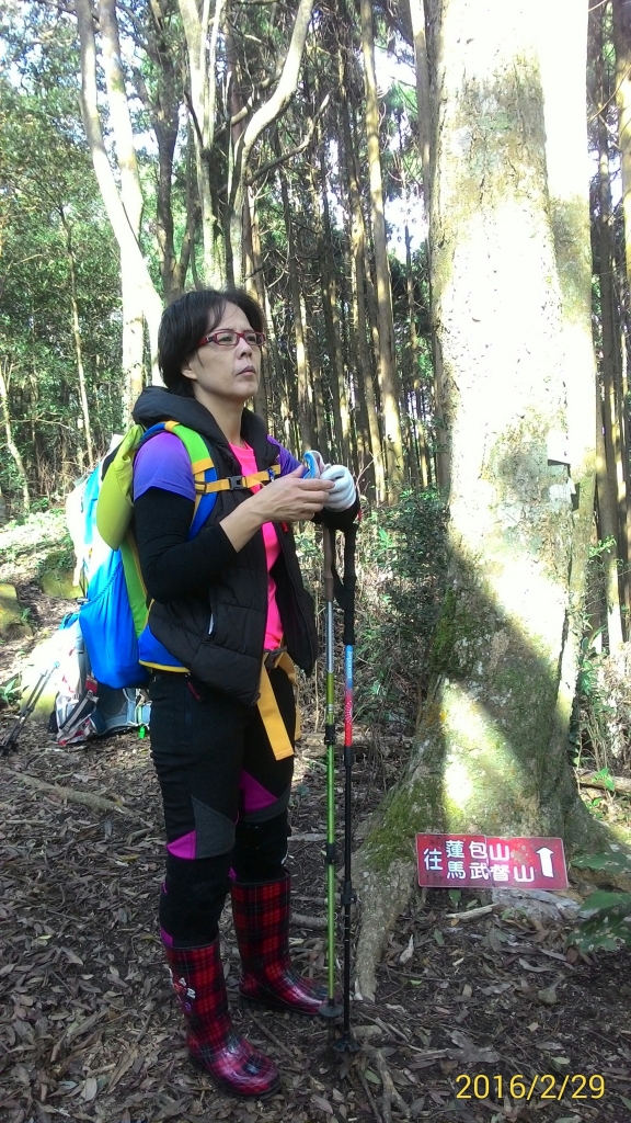 20160229新竹關西蓮苞山,外鳥嘴山_31373