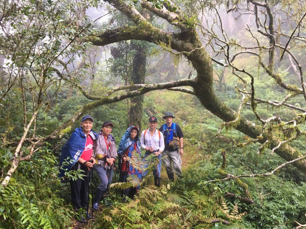 20191124御恩山_754597