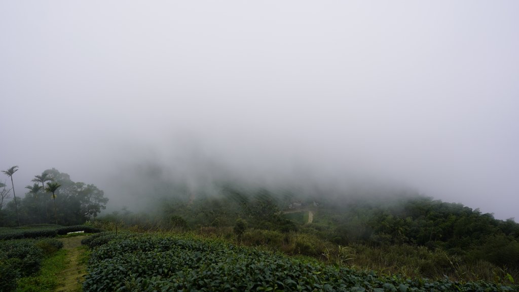 雲嘉九連峰_1438895