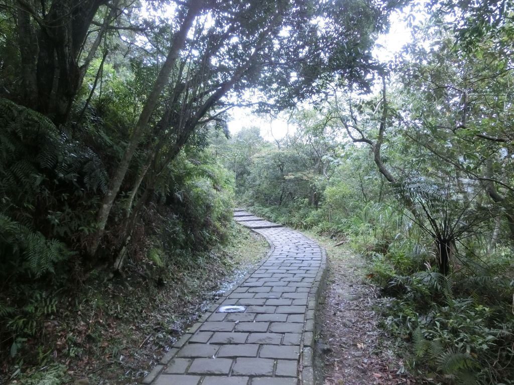 碧溪步道．翠山步道_191976