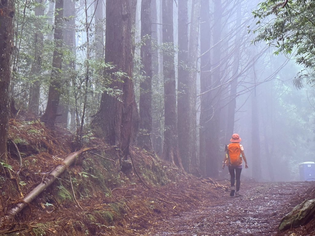 司馬限林道 訪 北坑駐在所_2811071