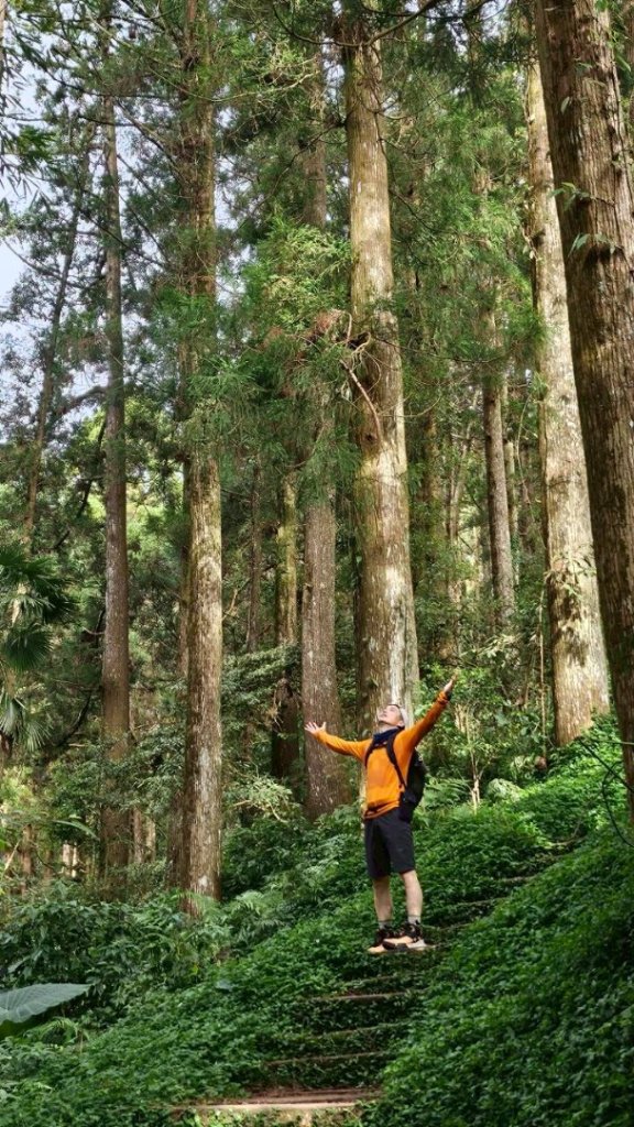 20251029石棹茶、霧、雲、霞、櫻、愛之道 樂野山 霹靂山_2926707